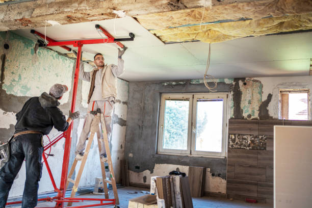 Types of Insulation We Offer in Mulberry, FL