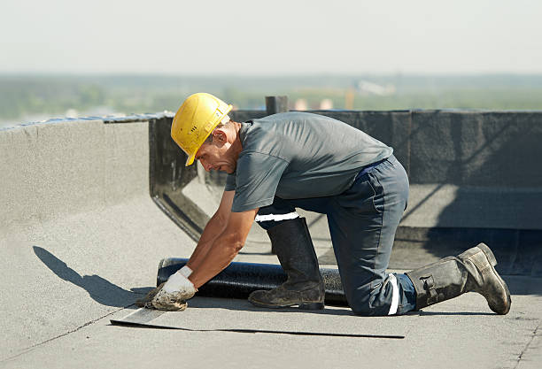Best Insulation Maintenance and Repair in Mulberry, FL
