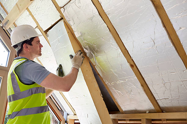 Best Cellulose Insulation in Mulberry, FL