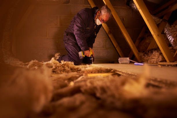 Best Eco-Friendly Insulation in Mulberry, FL